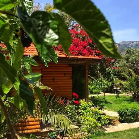Boheme Butik House's Holiday home *